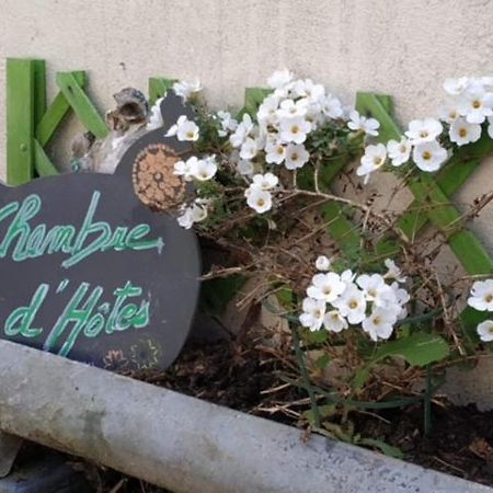 La Maison Des Fleurs Scrignac Екстер'єр фото